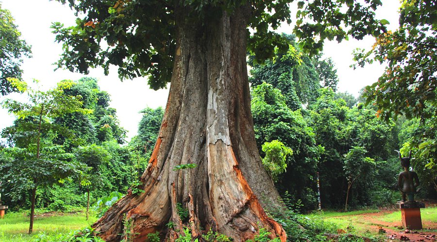 sacred forest of kpasse